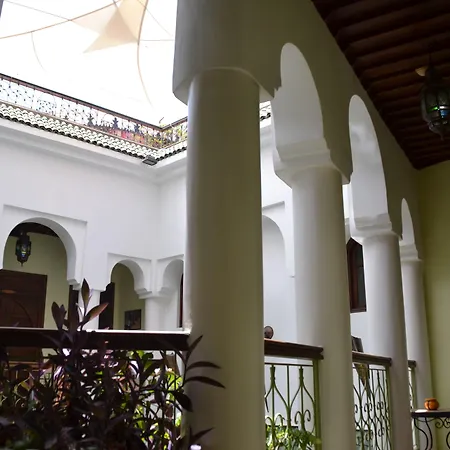 Riad Alida-3