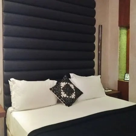 Riad Houma-2